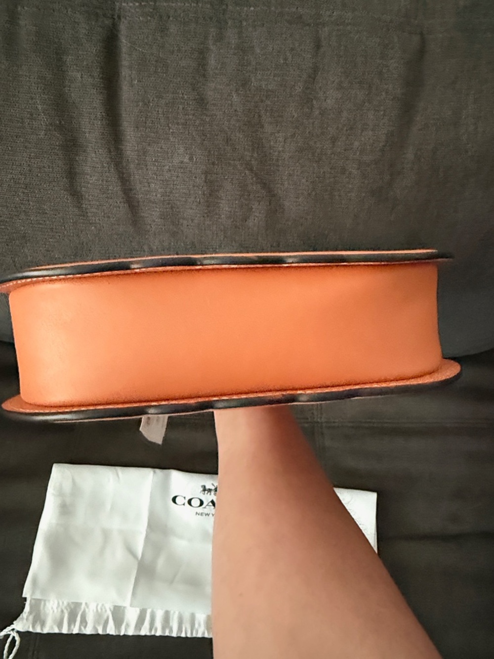 Coach Pumpkin Bag - Picture 7 of 12